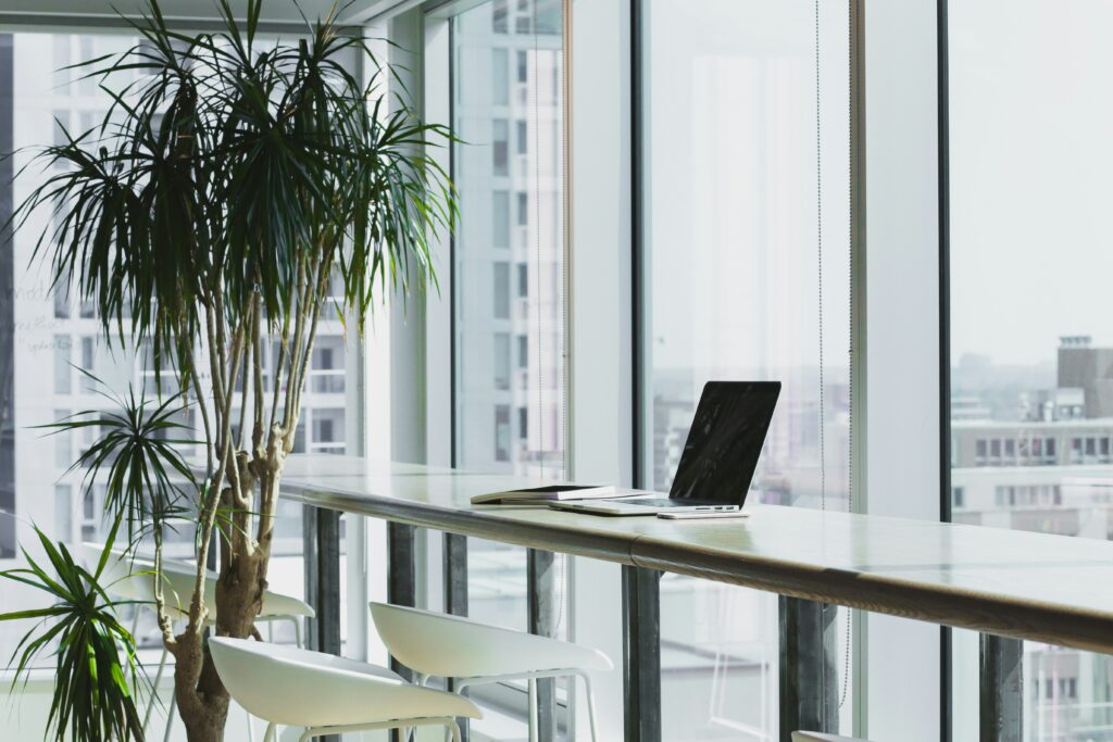 Bright office with plants and a laptop by the window