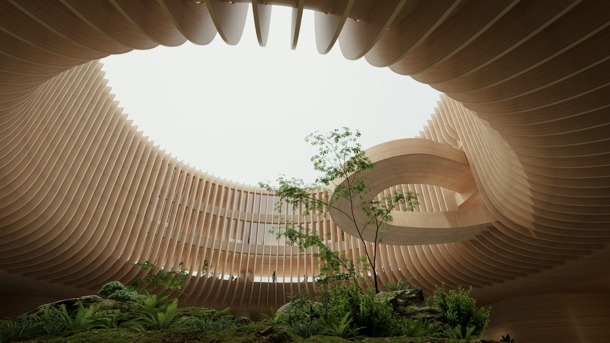 Curved timber architecture with greenery around a circular skylight