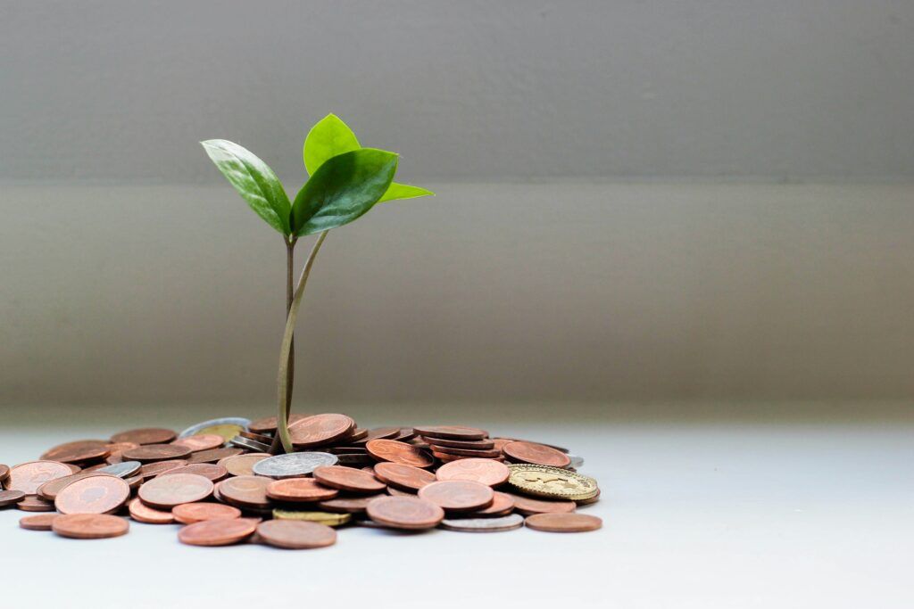 Seedling growing from a pile of coins