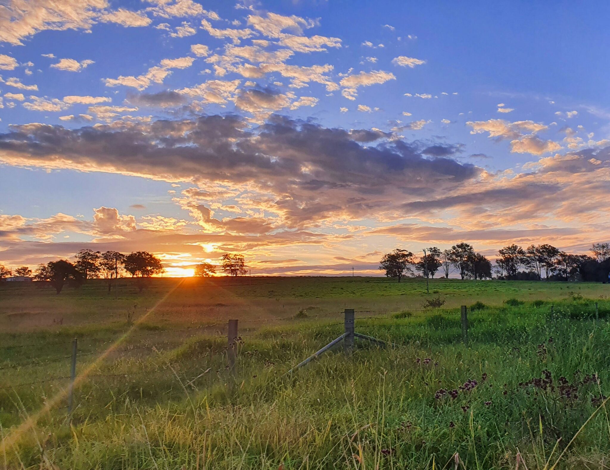 Sunset over a rural paddock with trees