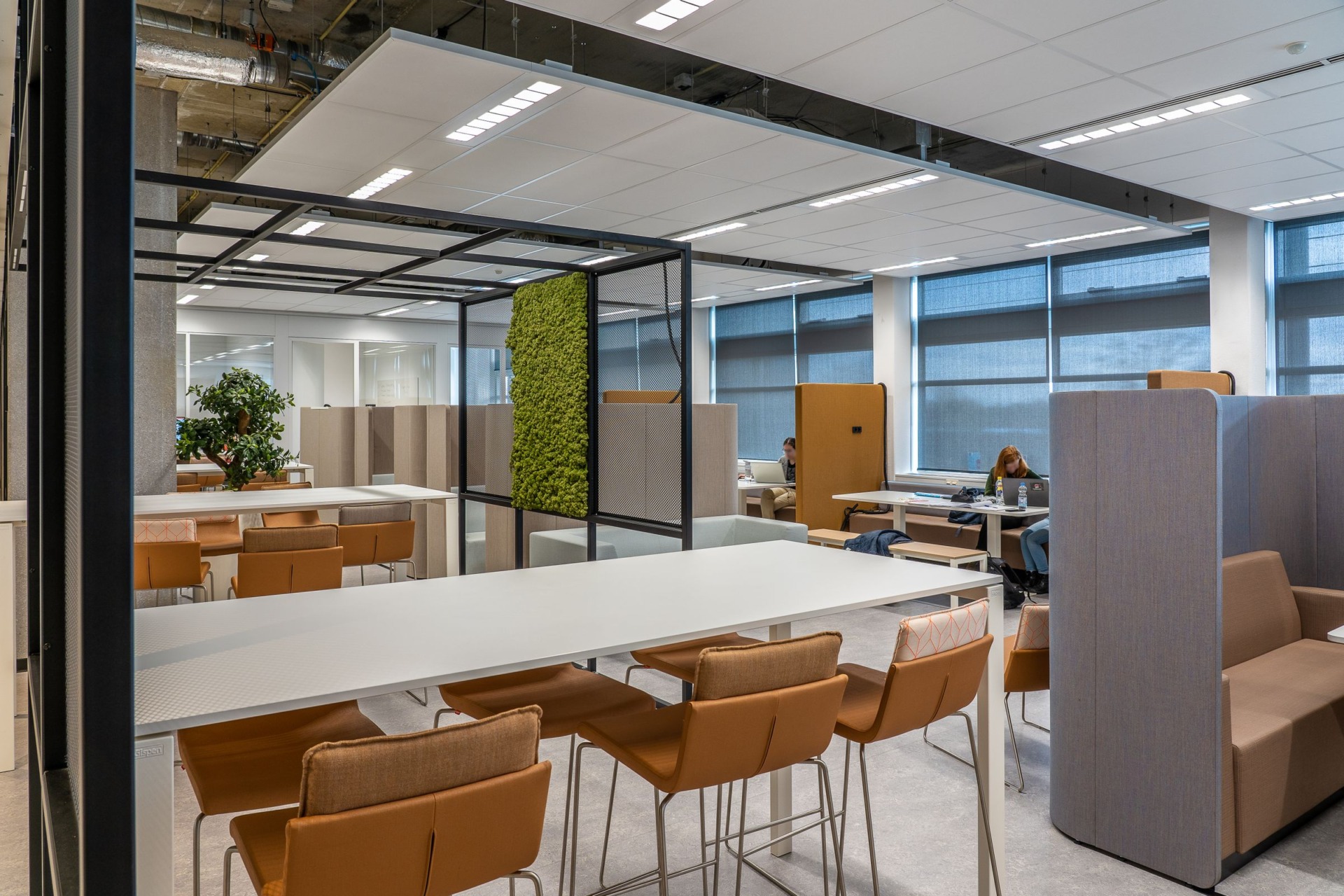 Activity based office with high benches, focus booths and a moss wall partition